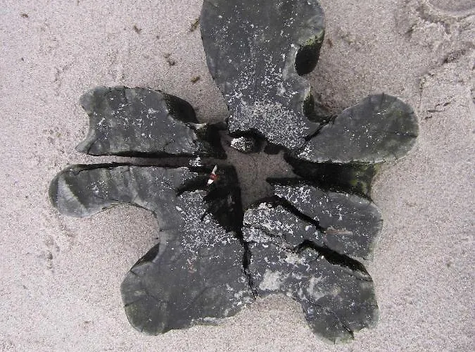 Strandstr_51 Wohnungsnr_12 * 青斯特